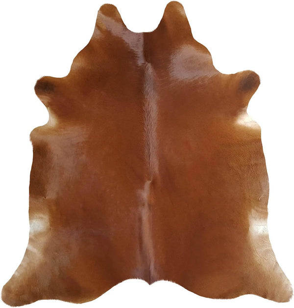 Whiskey Mancave Rugs: An Essential Addition