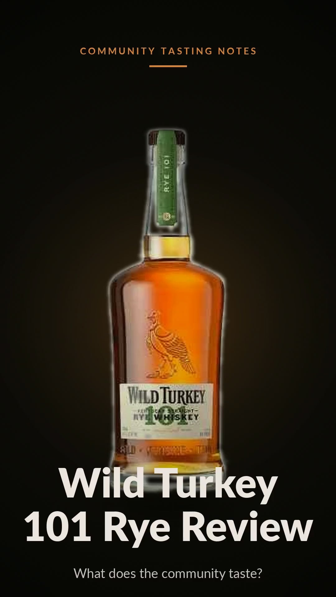 Wild Turkey 101 Rye review video
